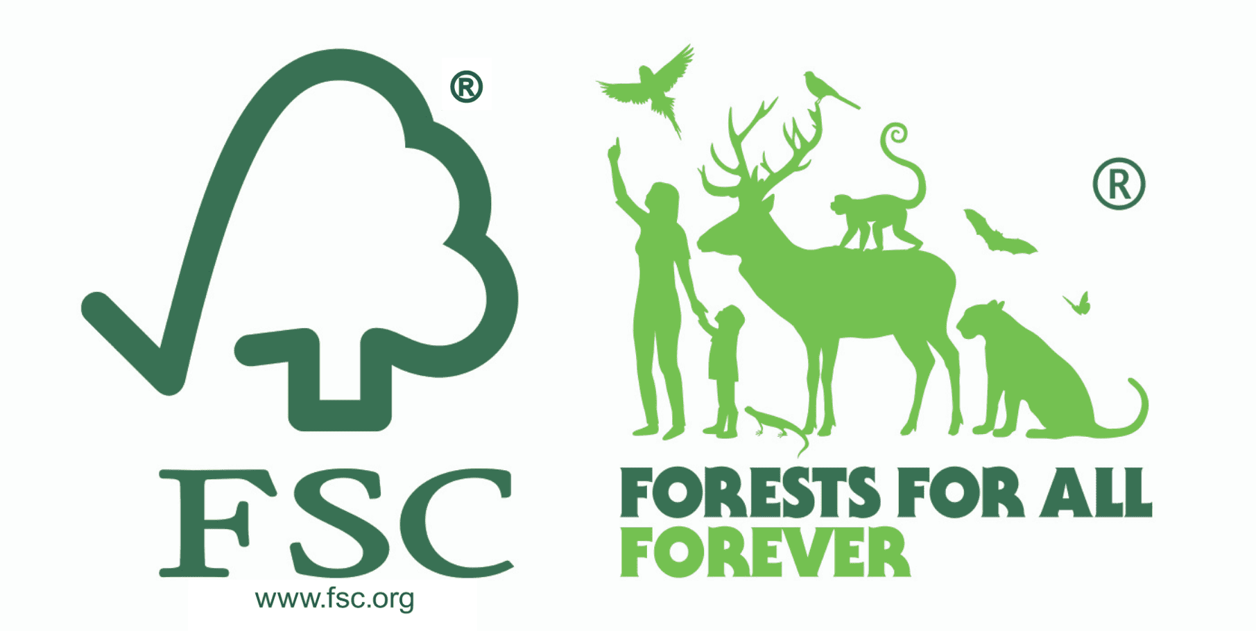 Bao bì giấy đạt tiêu chuẩn FSC thân thiện với môi trường