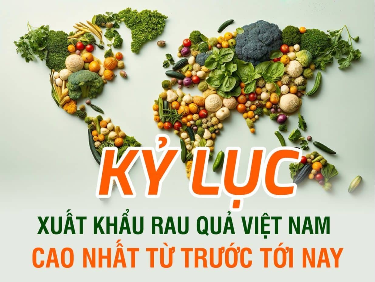 Xuất khẩu rau quả của Việt Nam đạt kỷ lục vượt mốc 5 tỷ USD