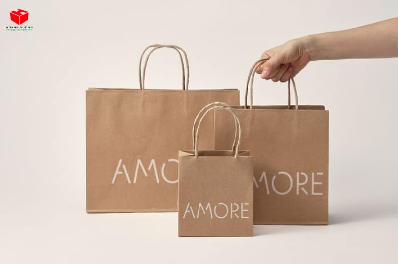 Mẫu túi xách giấy kraft đẹp