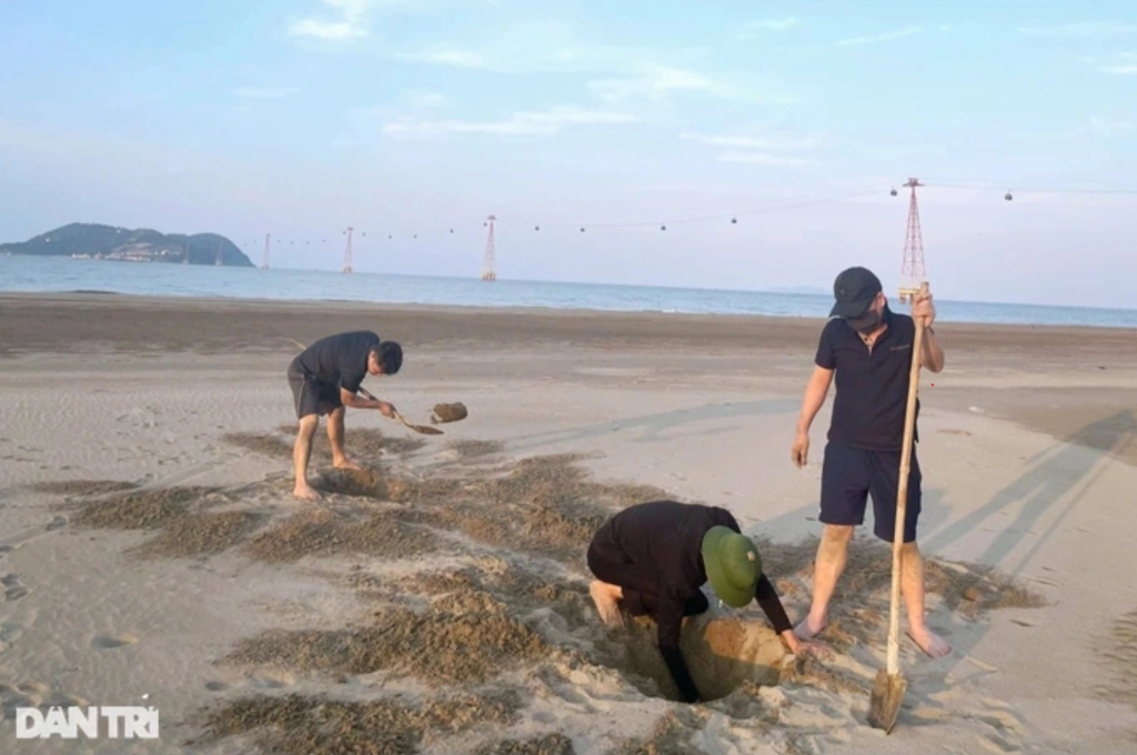 Người dân ven biển Cửa Lò kiếm tiền triệu mỗi ngày dưới lớp cát -1