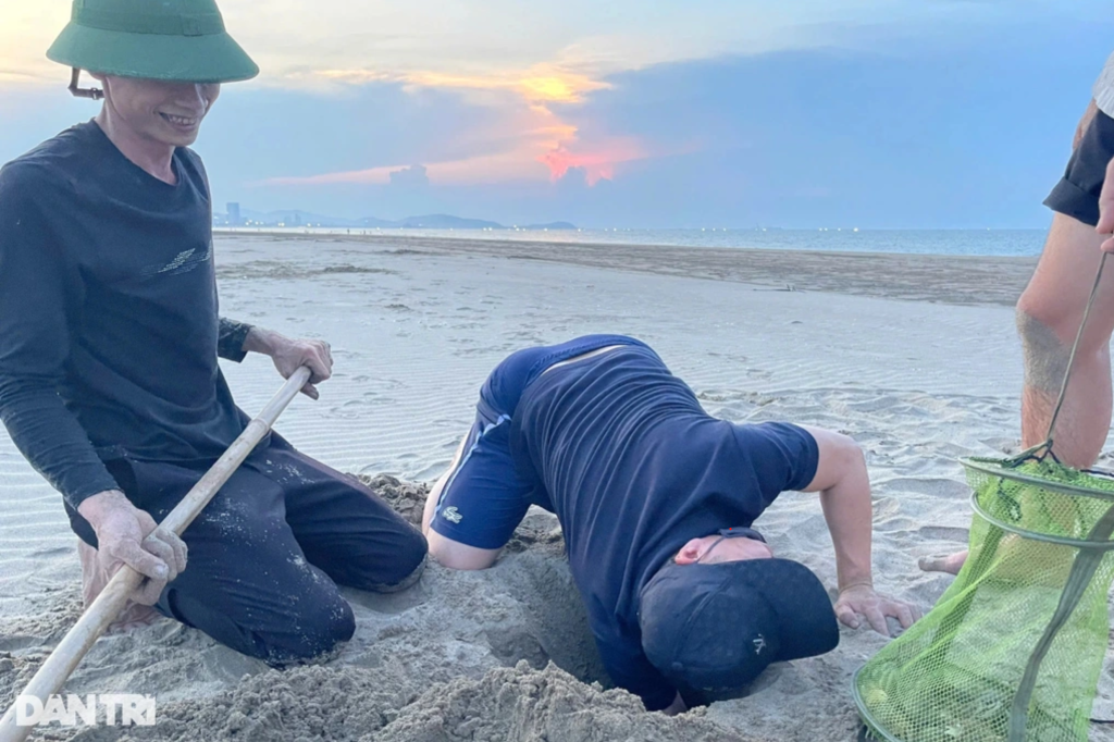 Người dân ven biển Cửa Lò kiếm tiền triệu mỗi ngày dưới lớp cát -2
