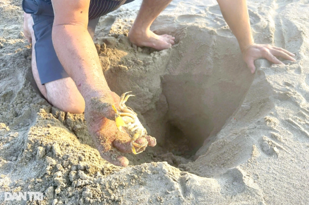 Người dân ven biển Cửa Lò kiếm tiền triệu mỗi ngày dưới lớp cát -3