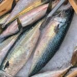 5 loại cá béo nên ăn thường xuyên giúp mắt sáng khỏe