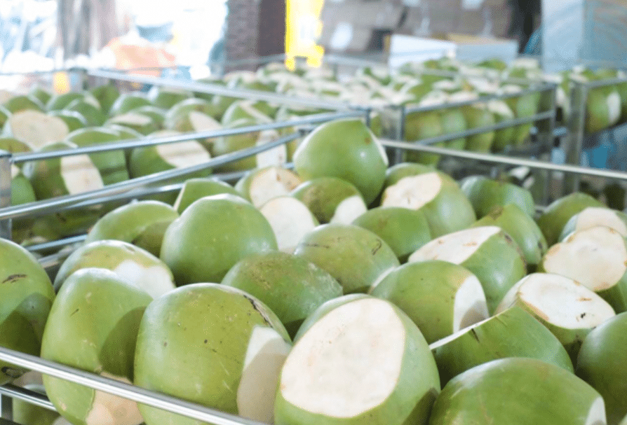 Sức hút của nông sản Việt - Khẳng định vị thế trên trường Quốc tế -2