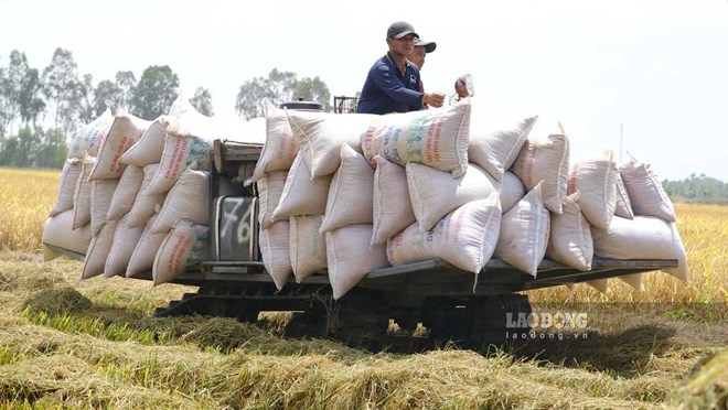 Bao bì xanh - Hộ chiếu đưa hàng Việt vươn xa-1